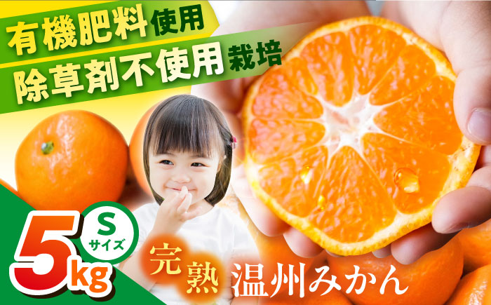温州みかん 約5kg Sサイズ 津久井浜みかん【志村農園】 [AKGH001-1]