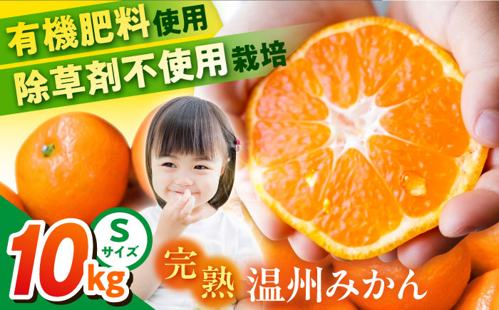 温州みかん 約10kg Sサイズ 津久井浜みかん【志村農園】 [AKGH001-3]