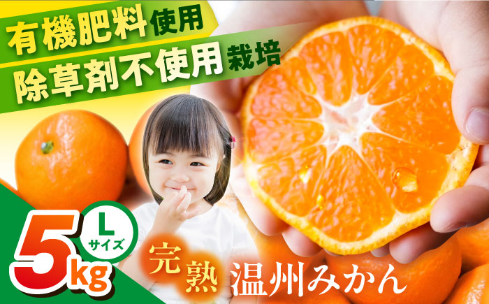 温州みかん 約5kg Lサイズ 津久井浜みかん【志村農園】 [AKGH003-1]