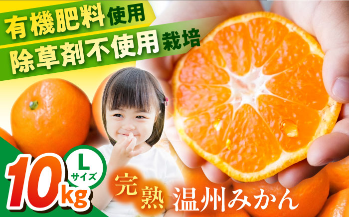 温州みかん 約10kg Lサイズ 津久井浜みかん【志村農園】 [AKGH003-3]