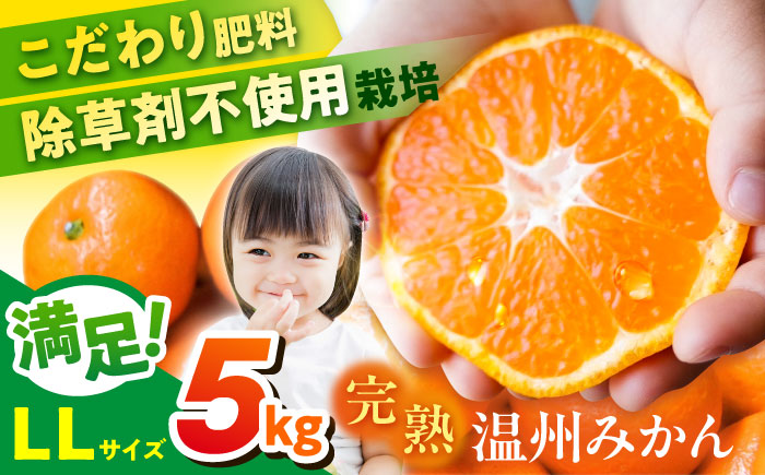 【年内発送の受付は12月22日まで！】温州みかん LLサイズ 約5kg 津久井浜みかん 蜜柑 ミカン 果物 柑橘 フルーツ 横須賀 年内発送【志村農園】 [AKGH004-1]