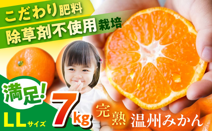 【年内発送の受付は12月22日まで！】温州みかん LLサイズ 約7kg 津久井浜みかん 蜜柑 ミカン 果物 柑橘 フルーツ 横須賀 年内発送【志村農園】 [AKGH004-2]