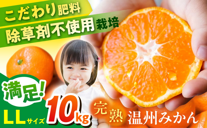 【年内発送の受付は12月22日まで！】温州みかん LLサイズ 約10kg 津久井浜みかん 蜜柑 ミカン 果物 柑橘 フルーツ 横須賀 年内発送【志村農園】 [AKGH004-3]