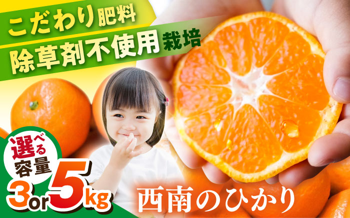 【年内発送の受付は12月22日まで！】【選べる容量！】 西南のひかり 年内発送 【志村農園】 [AKGH005] 約3kg