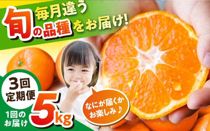 【3回定期便】毎月違う品種が届く　温州みかん　約5kg　【志村農園】 [AKGH006]