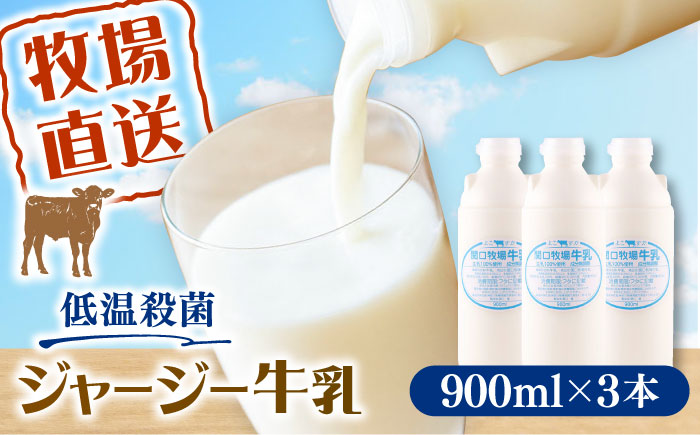 低温殺菌牛乳　ジャージー牛乳　牛乳　人気　3本セット　【よこすか関口牧場】 [AKGN001]