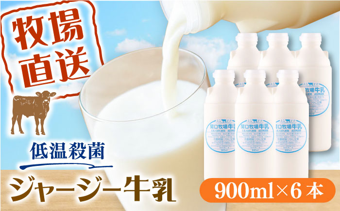 低温殺菌牛乳 ジャージー牛乳 牛乳 人気 6本セット　【よこすか関口牧場】 [AKGN002]