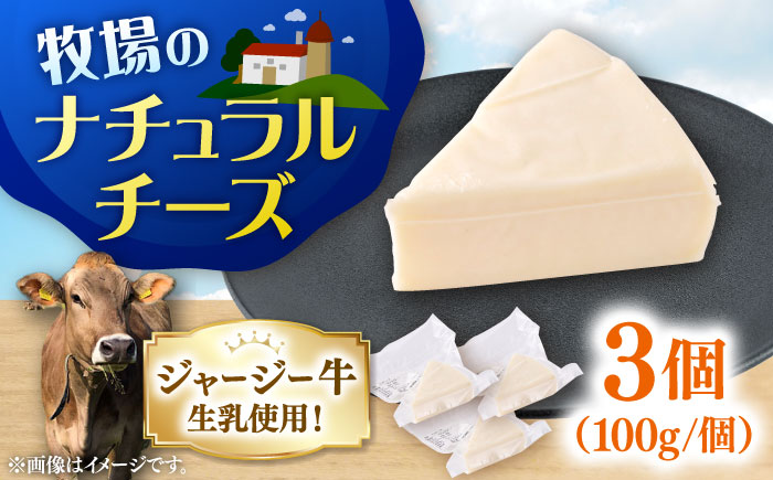 チーズ ナチュラルチーズ 3個セット　【よこすか関口牧場】 [AKGN010]