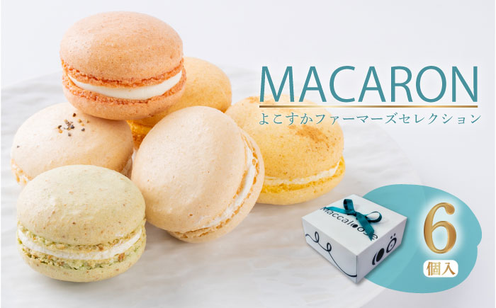 マカロン6個セット　よこすかfarmersSelection マカロン　お菓子　スイーツ 野菜　【マカルース】 [AKGS001]