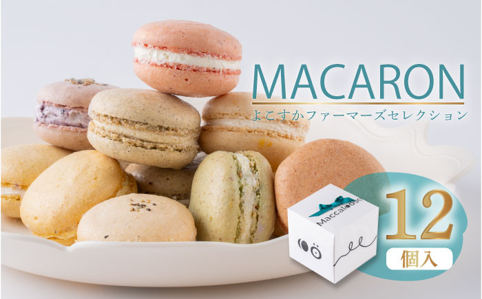 マカロン12個セット　よこすかfarmersSelection マカロン　お菓子　スイーツ 野菜　【マカルース】 [AKGS002]