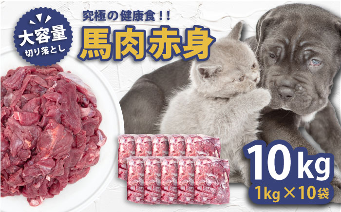 【年内発送の受付は12月24日まで！】馬肉赤身切り落とし　10kgセット 年内発送 【ディアラ】 [AKGU004]