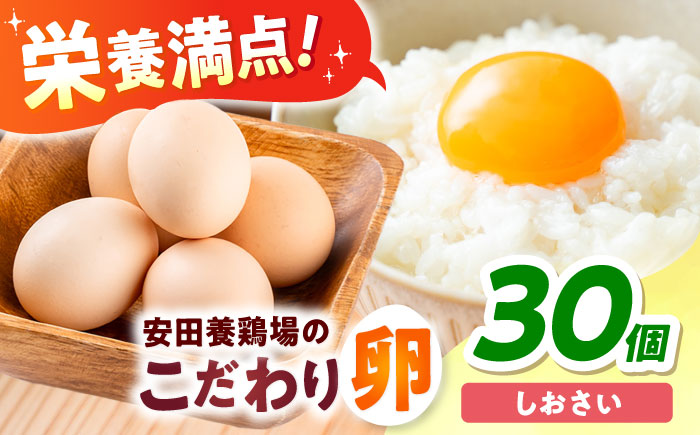 【年内発送の受付は12月18日まで！】【数量限定100セット】安田養鶏場の卵 しおさい 30個入り 横須賀市 産地直送 割れ保証付き たまご 黄身 濃厚 卵 玉子 タマゴ 鶏卵 年内発送 【安田養鶏場】 [AKHN001]