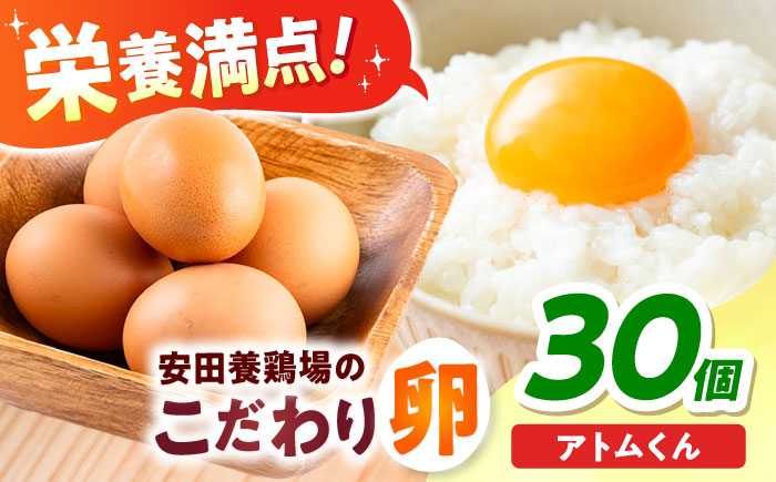 【年内発送の受付は12月18日まで！】安田養鶏場の卵 アトムくん 30個入り 横須賀市 産地直送 割れ保証付き たまご 黄身 濃厚 卵 玉子 タマゴ 鶏卵 年内発送【安田養鶏場】 [AKHN002]