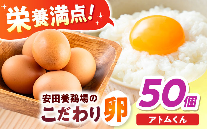 【年内発送の受付は12月18日まで！】安田養鶏場の卵 アトムくん 50個入り 横須賀市 産地直送 割れ保証付き たまご 黄身 濃厚 卵 玉子 タマゴ 鶏卵 年内発送【安田養鶏場】 [AKHN004]