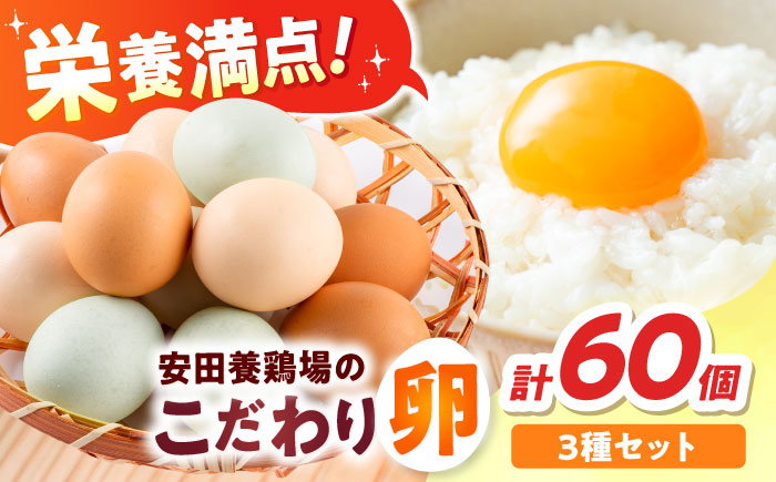 【年内発送の受付は12月18日まで！】安田養鶏場の卵 3種セット しおさい アトムくん タフラン 60個入り（各20個入り） 横須賀市 産地直送 割れ保証付き たまご 黄身 濃厚 卵 玉子 タマゴ 鶏卵 年内発送【安田養鶏場】 [AKHN007]