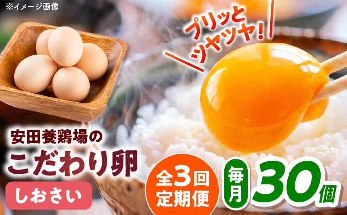 【全3回定期便】【数量限定50セット】安田養鶏場の卵 しおさい 30個入り 横須賀市 産地直送 割れ保証付き たまご 黄身 濃厚 卵 玉子 タマゴ 鶏卵 【安田養鶏場】 [AKHN008]