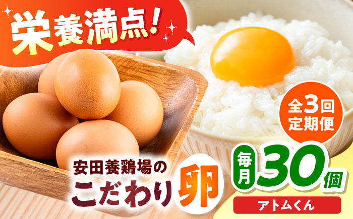【全3回定期便】安田養鶏場の卵 アトムくん 30個入り 横須賀市 産地直送 割れ保証付き たまご 黄身 濃厚 卵 玉子 タマゴ 鶏卵 【安田養鶏場】 [AKHN009]