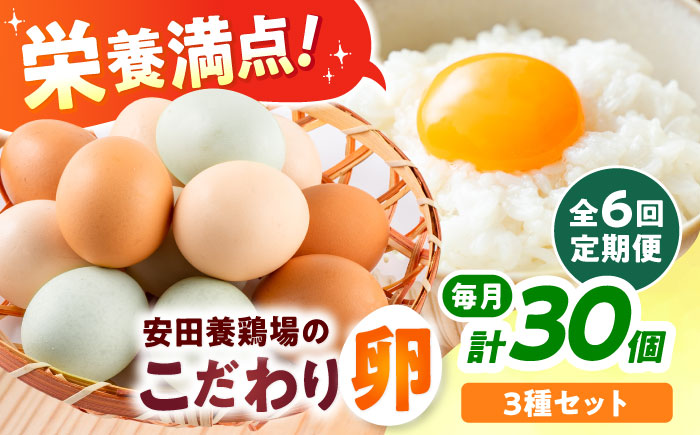 【全6回定期便】安田養鶏場の卵 3種セット しおさい アトムくん タフラン 30個入り（各10個入り） 横須賀市 産地直送 割れ保証付き たまご 黄身 濃厚 卵 玉子 タマゴ 鶏卵 【安田養鶏場】 [AKHN012]