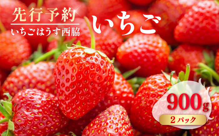 【先行予約】【数量限定100セット】　いちご　2パック 約900g　【いちごはうす西脇】 [AKHO002]