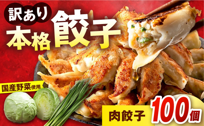 訳あり 本格　肉餃子 100個セット 【株式会社オウモリ食品】 [AKHQ006]
