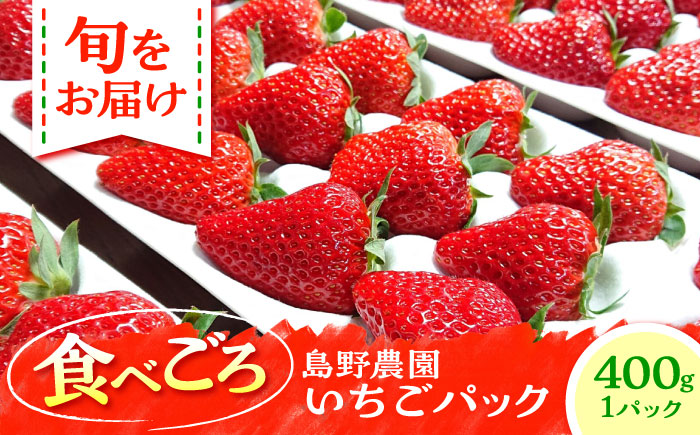 【先行予約】【数量限定40セット】島野農園のいちご（400g×1パック） 紅ほっぺ ほしうらら スターナイト 【島野農園】 [AKHV001]