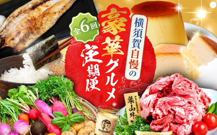 【全6回定期便】横須賀 豪華！グルメ定期便 [AKZZ017]