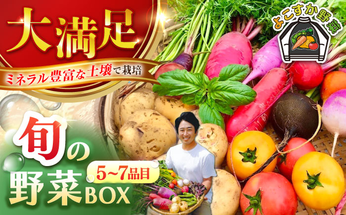 すずなり採れたて野菜BOX(5〜7品目)[鈴也ファーム] [AKCE001]