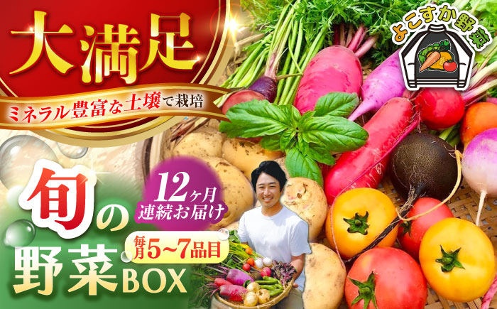 [全12回定期便]すずなり採れたて野菜BOX(5〜7品目)[鈴也ファーム] [AKCE004]