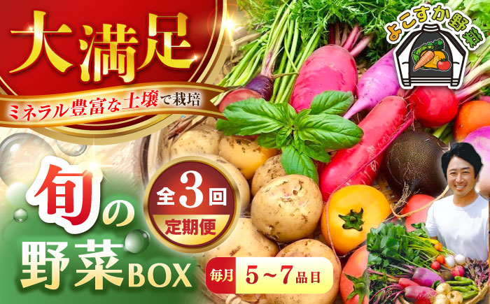 [全3回定期便]すずなり採れたて野菜BOX (5〜7品)[鈴也ファーム] [AKCE011]