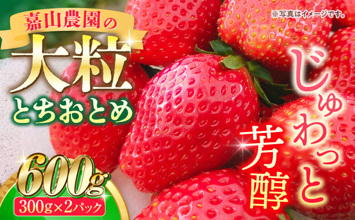 [先行予約][数量限定]嘉山農園の完熟大粒いちご とちおとめ(300g×2パック)[いちごはうす嘉山農園] [AKCO001]