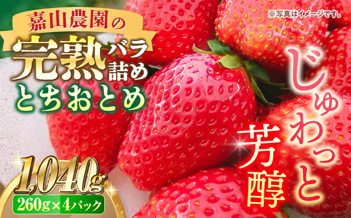 [先行予約][数量限定]嘉山農園の完熟バラ詰めいちご とちおとめ(260g×4パック)[いちごはうす嘉山農園] [AKCO002]