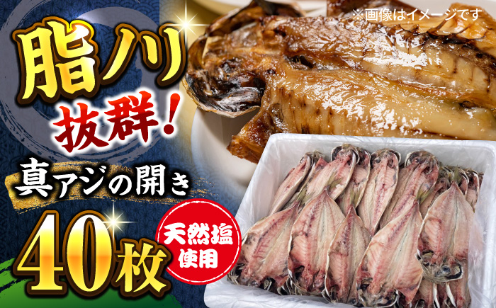 漁師町佐島 真アジの開き 40枚セット 干物 横須賀 干物セット 干物[石川水産] [AKCX001]