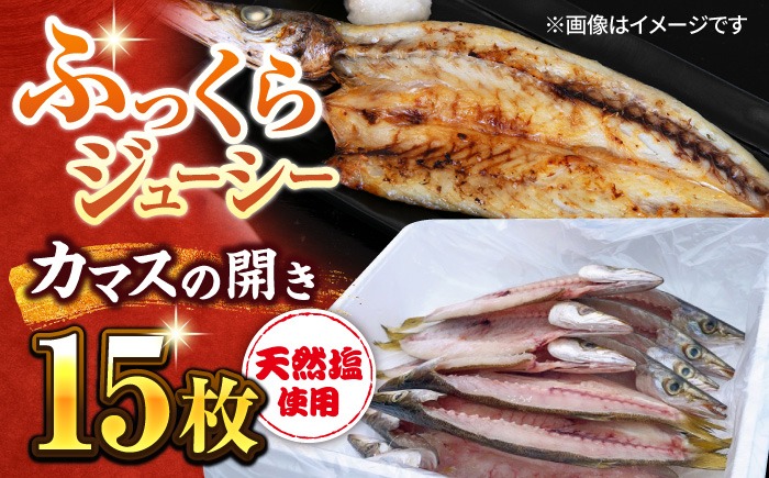 漁師町佐島 カマスの開き 15枚セット 干物 横須賀 [石川水産] [AKCX002]