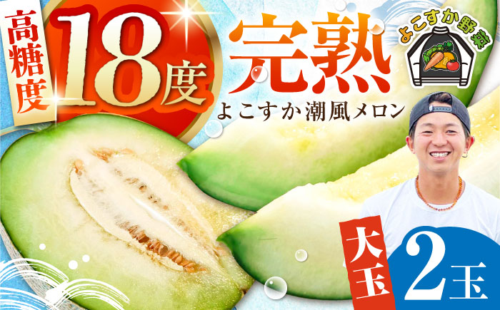 [先行予約][数量限定]よこすか潮風メロン 大玉4L 2玉セット 計約3kg [井上農園] [AKDJ001]