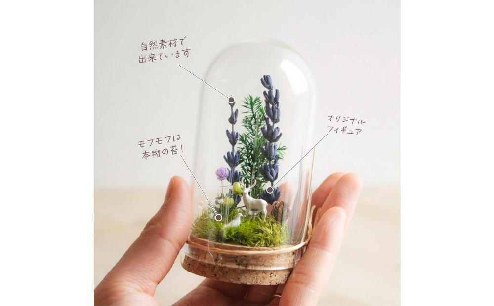 ナチュラル・ホワイト_プチ・てのリウム [φ50mm]《プリザーブド苔テラリウム》
