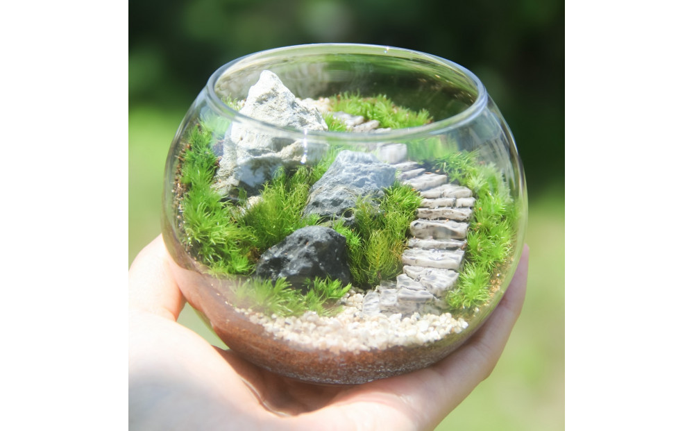 《苔テラリウム・コケリウム》階段の風景 ボウルL