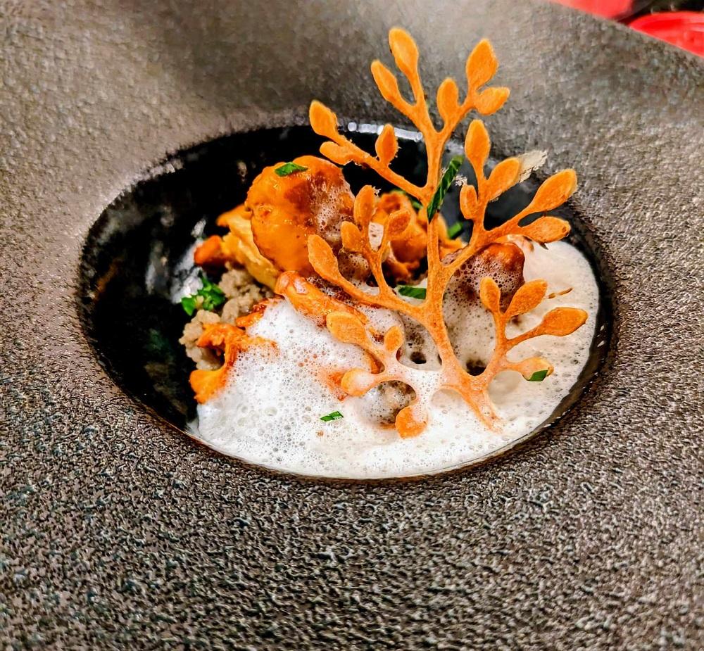 フランスの伝統的な食材や地産地消を味わうスペシャルコース ペアチケット　1枚【金曜日・土曜日・日曜日・祝日限定】