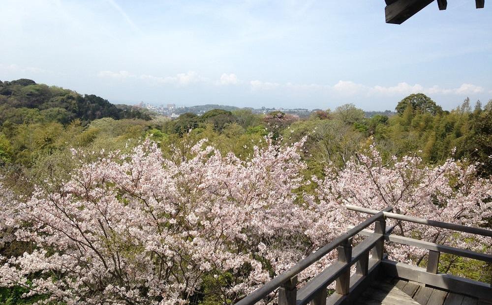 鎌倉 らい亭　2025年お正月用「おせち」