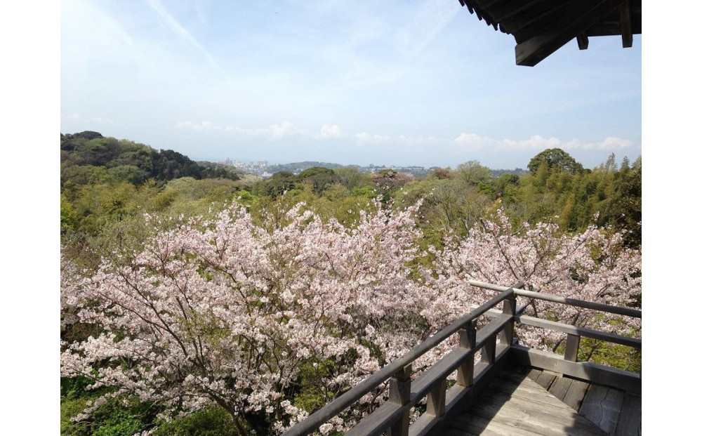 鎌倉 らい亭　2026年お正月用「おせち」