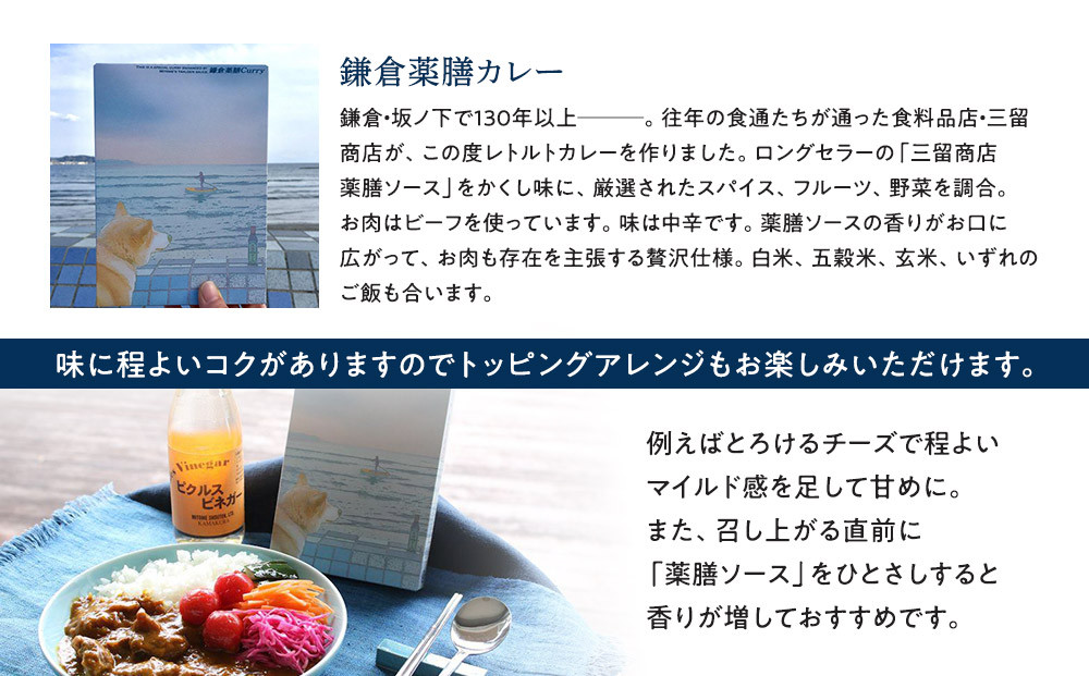 【鎌倉三留商店】ピクルスビネガー、薬膳ソース２本 、鎌倉薬膳カレー２食 | ピクルス ビネガー 薬膳 ソース 薬膳カレー 人気 おすすめ 健康 調味料 カレー ギフト プレゼント 送料無料 神奈川 鎌倉
