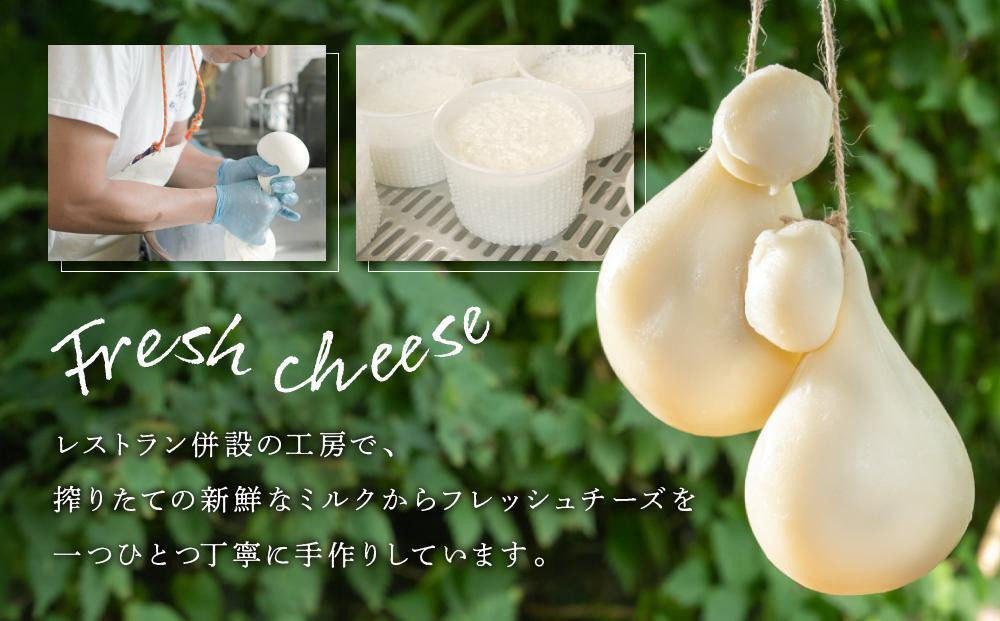 BeBe 鎌倉ふるさと納税スペシャルディナー＋メイン＋ウェルカムドリンクつきペア食事券Ｂ ｜ チーズ 乳製品 加工食品 おすすめ 食事券 お食事券 人気 食品 フレッシュチーズ ナチュラルチーズ ディナー券 高級チーズ 送料無料 神奈川 鎌倉