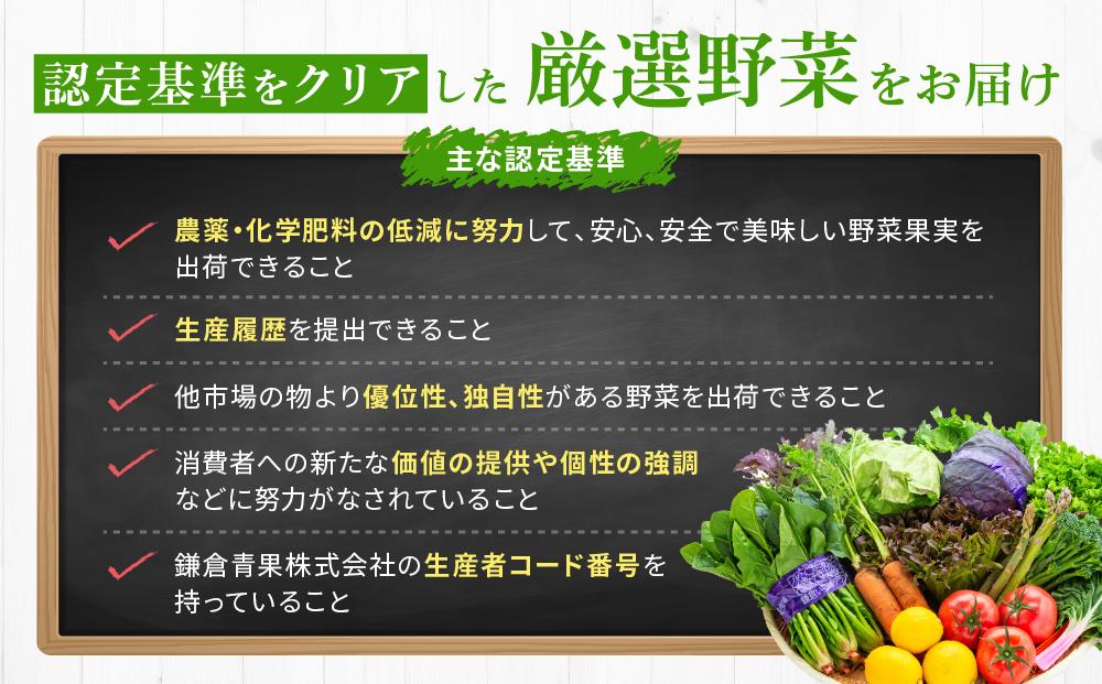 「鎌倉いちばブランド」新鮮お野菜詰め合わせセット 10～15品 ｜ 人気 野菜 詰合せ 詰め合わせ セット 新鮮野菜 詰め合わせセット 野菜セット 季節の野菜 鎌倉野菜 地元産 お取り寄せ おすすめ 送料無料 神奈川 鎌倉