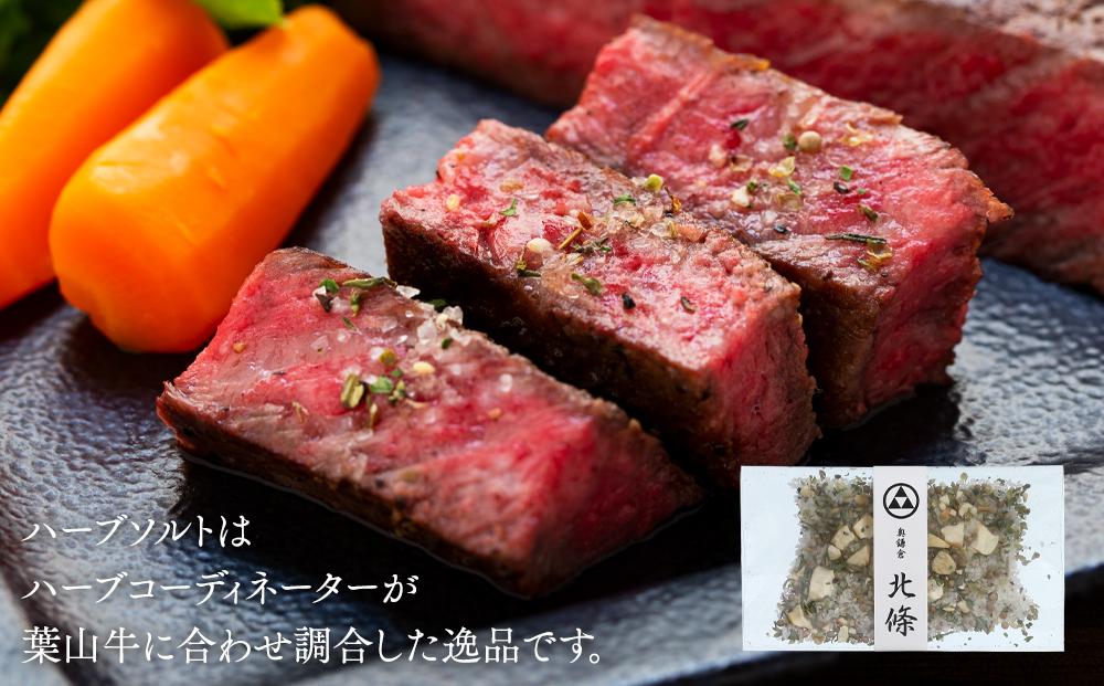 葉山牛特選ステーキセット