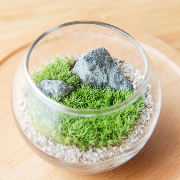 《苔テラリウム・コケリウム》きつねと朱鳥居S_枯山水 ボウルM