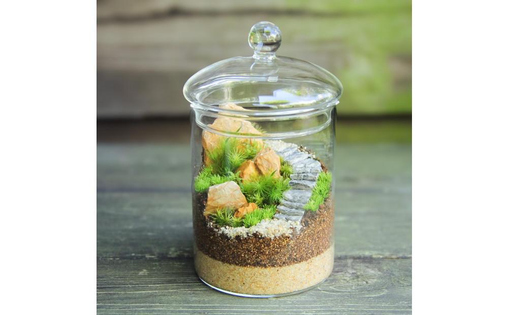 《苔テラリウム・コケリウム》牡鹿_苔の箱庭 キャニスターL