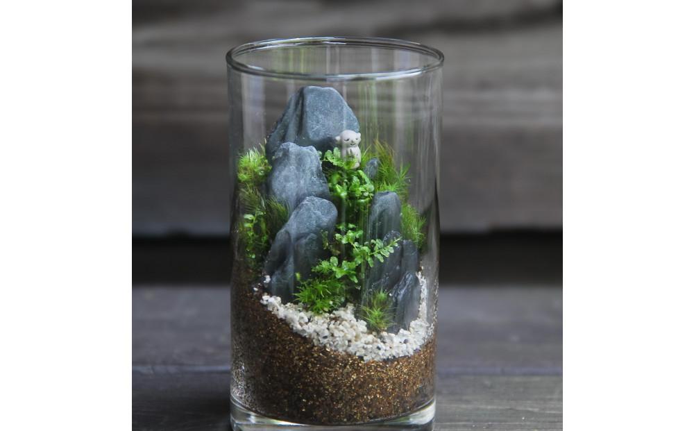 《苔テラリウム・コケリウム》地蔵S_山水図　シリンダーM