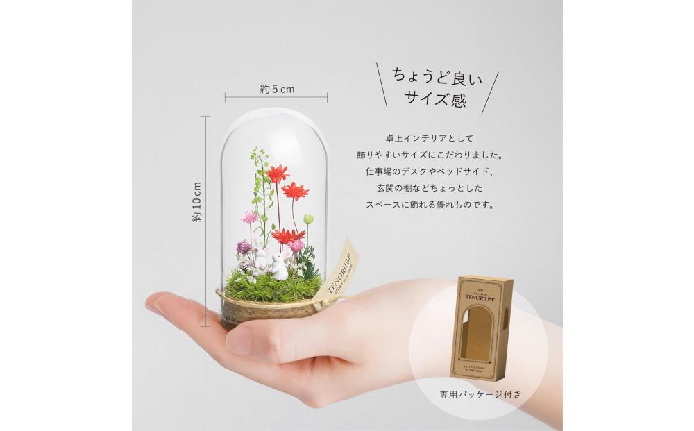 ピンクレッド_プチ・てのリウム [φ50mm]《プリザーブド苔テラリウム》