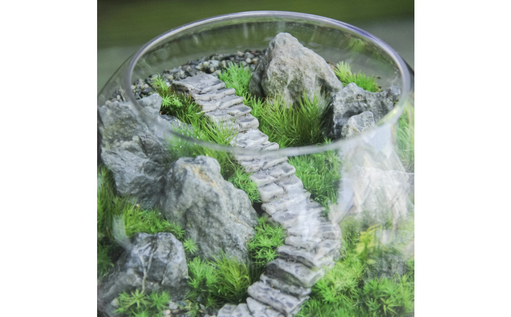 《苔テラリウム・コケリウム》階段の風景 ボウルLL
