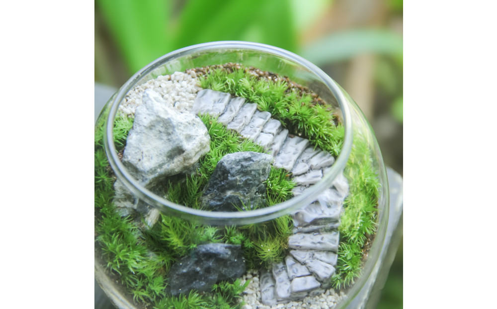 《苔テラリウム・コケリウム》階段の風景 ボウルL