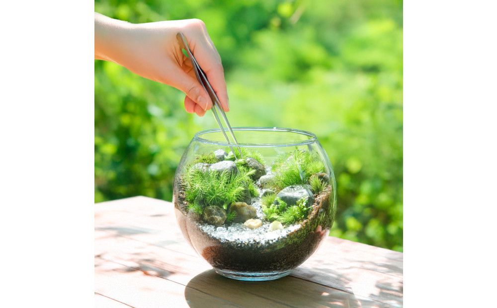 【渓流編】苔テラリウム制作キット（ツール付き）